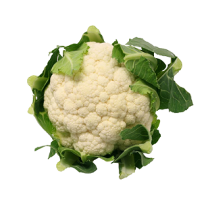 Cauliflower PNG-12682